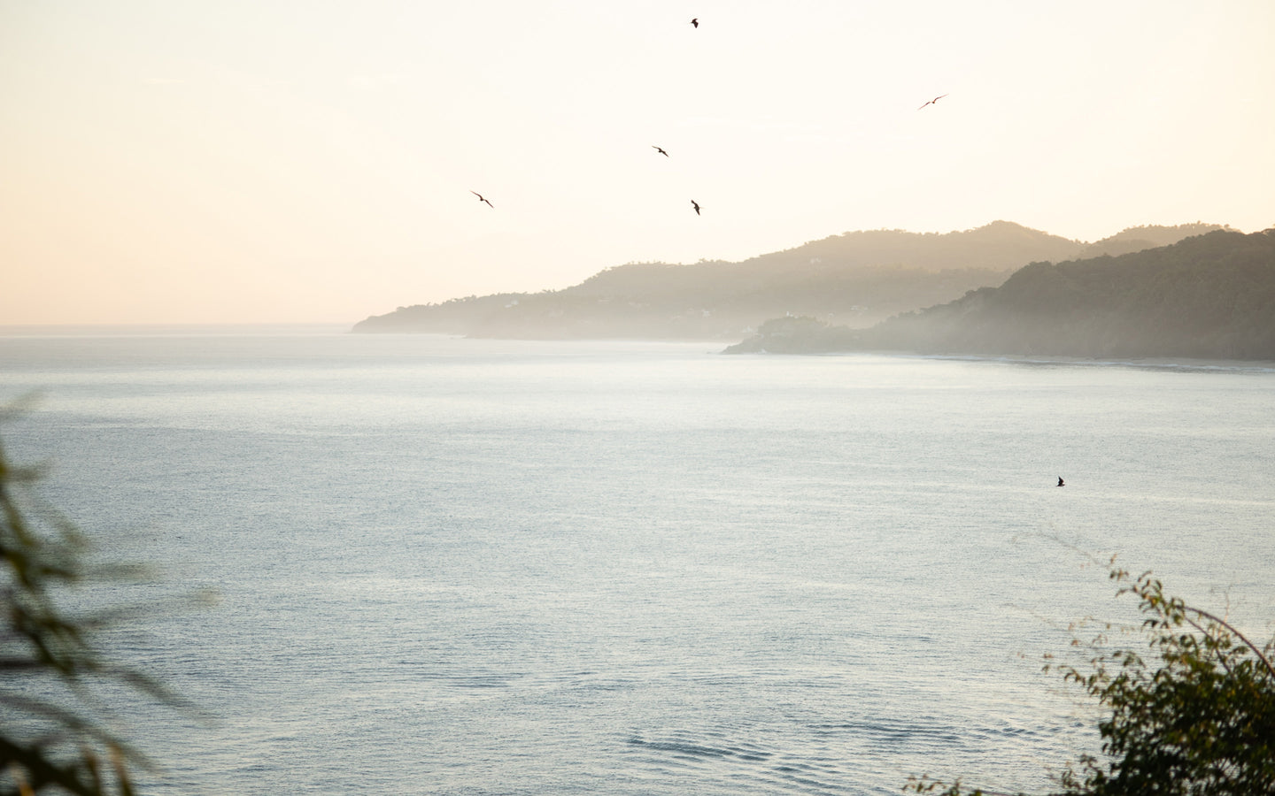 Performance Fleece Jacket Men's