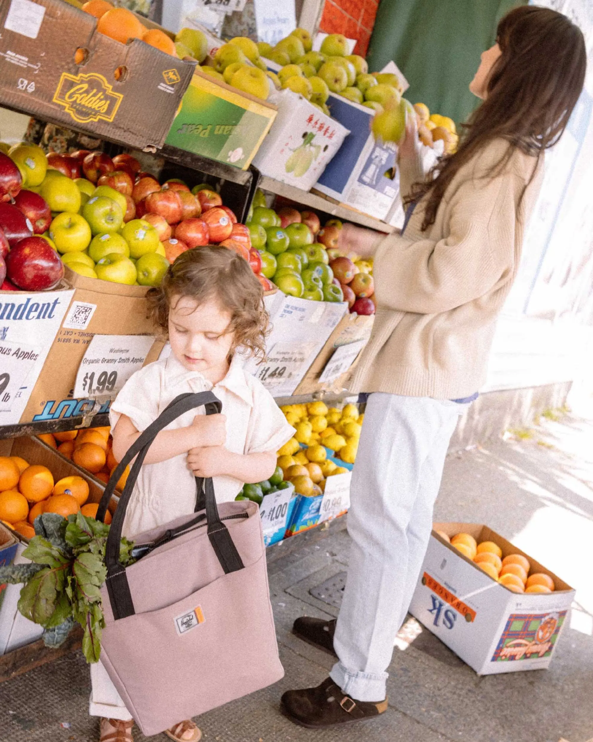 Alexander Zip Tote Small | Insulated