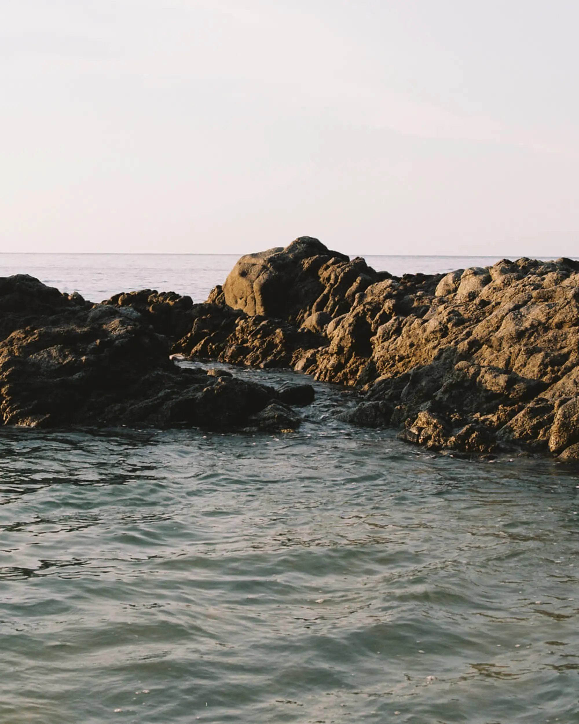 Dry Bag Organizer 15L