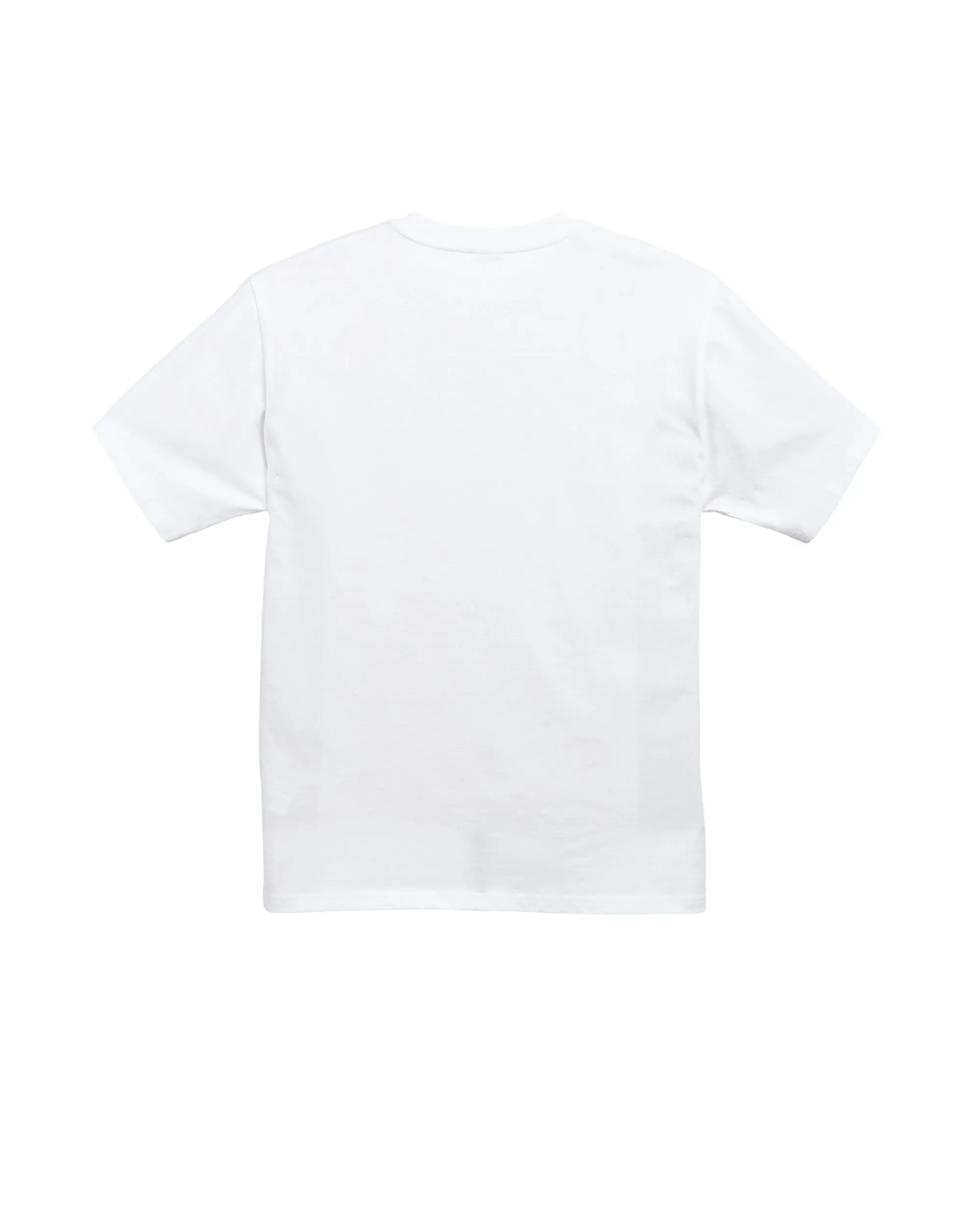 Banff Tourist Tee | Men's
