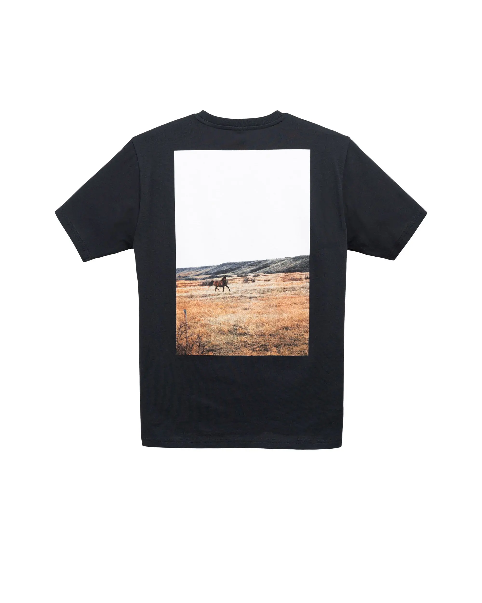 Photo Tee Men's