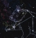 Night Sky Animals