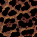 Digi Leopard